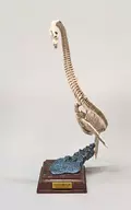 Futabasuzuki ryu (cor do esqueleto) "Nature Technicolor Paleontology"