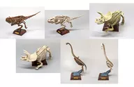 Conjunto de 6 tipos "Nature Technicolor Paleontology"