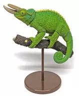 Light Green "Animalie Collection Jackson Chameleon"