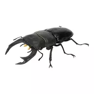 Stag beetle (revised)' Ikimono Daizukan Kuwagata 09'