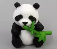 "Oyashii Panda Panda Full Days"