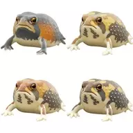 4-Type Set "Nature Technicolor Flocky Soil-covered Breviceps adspersus"