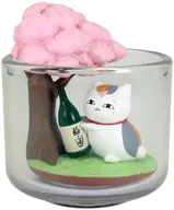 In the spring,' Natsume's BOOK of FRIENDS Nyanko-sensei Shikki Tetori Mu'