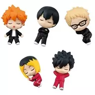 5-Type Set "Haikyu!!! Nemurasetai"