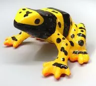 Dendrobates leucomelas "El mundo de la rana venenosa, Vol. 1"