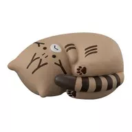 愤怒的猫咪