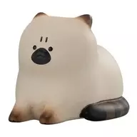 在狮身人面像生气的猫