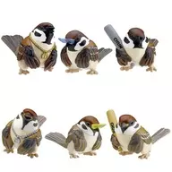 6-Variety Set "Kotori's Holiday Yankee Sparrow"