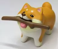 Shiba Inu who got a good stick "Dog who got a good stick"