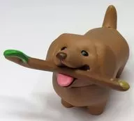 Dachshund, um cão com um pau bonito.