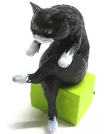 驼背
