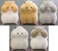 全5種セット 「だれか助けて かどっこハムスター」