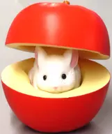 りんごから…チラッ 「チンチラチラリズム～みーっけ!～」