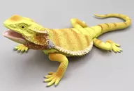 フトアゴヒゲトカゲ 「あそべる生物フィギュアシリーズ トカゲキングダム エリマキトカゲがやってきた!!」