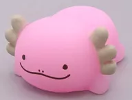 わるるん 「ほわぷるウーパーのるるんぱ」