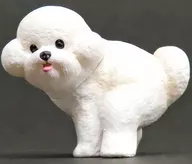 ビションフリーゼ 「ふんばり～ぬ2」