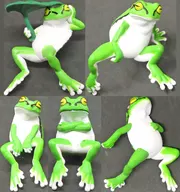 全5種セット 「ふちやすみ アマガエル」