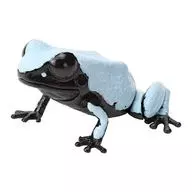 セマダラヤドクガエル 「いきもの大図鑑レプティ ヤドクガエル」