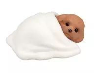 トイプードル(アプリコット) 「ぽかぽかわんこ」