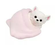 チワワ(クリーム) 「ぽかぽかわんこ」