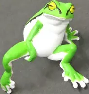 たそがれ 「ふちやすみアマガエル」