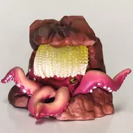 親蛸＆卵 「蛸、烏賊」