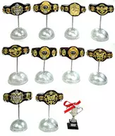 全11種セット 「全日本プロレス チャンピオン・ベルト」