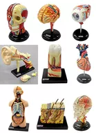 全9種セット 「原色図鑑シリーズ17 原色人体解剖図鑑 完全版」