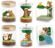 Set of 6 Kinds 「 Rilakkuma Honey Forest Terrarium 」