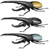 3 Types Set "1/1 Hercules Beetle Ver. 2.0 Blind Box Version"