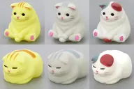 全6種セット 「やわもっち こねこ」