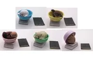 全5種セット 「今日も、すくすく成長中-水族館編-」