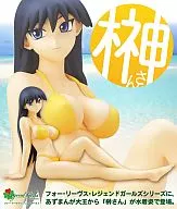 Sakaki-san - Versão de Fato de Banho - "Azumanga Daio" 1/7 Produto acabado revestido de PVC