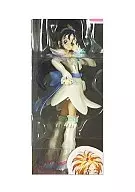 キュアイーグレット DX Figure "Pretty Cure Splash ☆ Star"