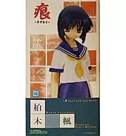 柏木枫