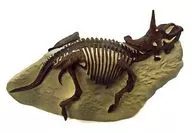 GK008 Triceratops Holriddos "Reproduction Model of Exhibition Collection of Series Supervised by National Museum of Nature and Science"