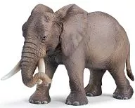アフリカ象(メス) 「Schleich-シュライヒ-」 NO.14342