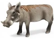 Phacochoerus africanus (hembra) "Schleich-Schleich-" NO. 14613