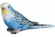 Psittaci (azul) "Schleich-schleich-" No. 14409