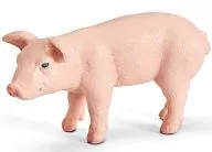 Cerdo (cría : vertical) "Schleich-Schleich-" No. 13289