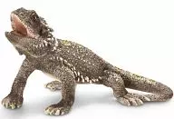 フトアゴヒゲトカゲ 「Schleich-シュライヒ-」 NO.14675