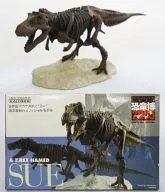 T. REX Sue (esqueleto completo) Figura oficial limitada al lugar de la Expo 2005 de dinosaurios