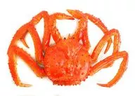 King Crab (Orange) Soft Figure BIG