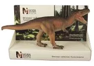 Tyrannosaurus "British Museum of Natural History" 1/40 painted finished product