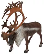 Caribou-馴鹿-"Collecta-Collector-"第88709號