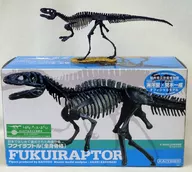 Fukuiraptor Whole Body Skeleton "Dinosaur Museum Official Figure" Polystone-painted finished product Fukui Dinosaur Museum only