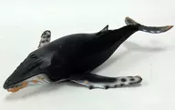Ballena jorobada "Schleich-Schleich-" Wildlife - Wildlife - No. 16083