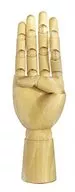 Mano modelo / mano derecha (17.5 cm)