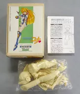 Yuna Kagurazaka "Ginga Himesama Densetsu Shin Yu-na" 1/5 Resin Cast Kit