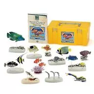 NATURE'S LIBRARY Coral Monocirrhus polyacanthus Fish - Coral reef fish box - (12-piece set) 「 three dimensional picture book real figure box 」 painted finished product